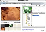 webcamXP Pro v2.25 2006 ingyenes letöltése