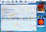 MSN Messenger 7.0 Windows 9X ingyenes letöltése