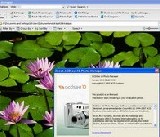 ACDSee 10.0.219 Photo Manager - Sokoldalú képnéző kategorizálással ingyenes letöltése