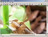 Futuris Imager - Windows képnézegető ingyenes letöltése