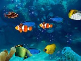Free Aquarium Screensaver ingyenes letöltése