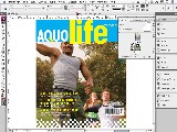 Adobe InDesign CS3 igényes kreatív kiadványszerkesztő ingyenes letöltése