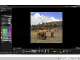 ACDSee Pro Photo Manager 3 ingyenes letöltése