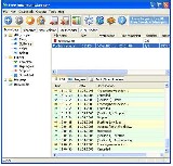 Free Download Manager v3.0 B852 (magyar) ingyenes letöltése