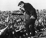 Elvis 50 years screensaver - képrenyővédő ingyenes letöltése